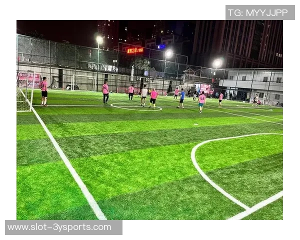 足球场占地面积的标准与不同类型足球场的比较分析